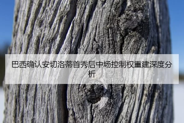 ba-xi-que-ren-an-qie-luo-di-shou-xiu-hou-zhong-chang-kong-zhi-quan-zhong-jian-shen-du-fen-xi-2-524.jpg